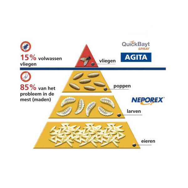 Agita 1 kg - Afbeelding 2